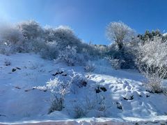 -太子岭滑雪场