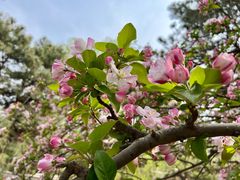 -元大都城垣遗址公园