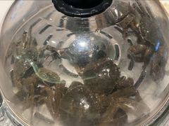 -一方渔歌蒸汽海鲜自助(文化路万达广场店)