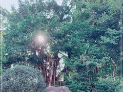 -乌山风景区