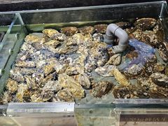-旺顺阁海鲜广场(亚运村店)