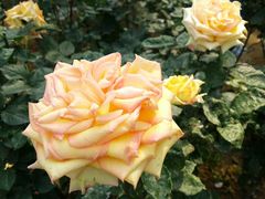 -人民公园(罗湖区)