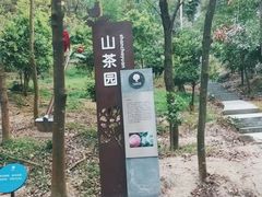 -中山市树木园