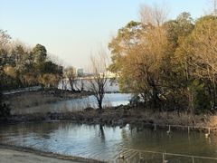 -上海吴淞炮台湾国家湿地公园