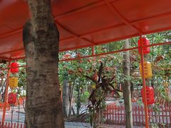 -陶缘一号·四季缘·老字号顺德菜·户外婚礼家宴(西滘店)