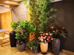 -唐沫茶兮(仓山万达金街店)
