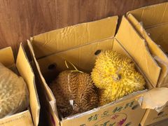 -1861意大利餐厅(文化广场店)