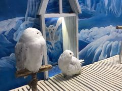 -成都浩海立方海洋公园