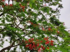 -北海市海滨公园