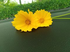 -青岛银沙滩