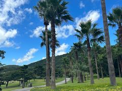 -普陀山风景名胜区-千步大沙