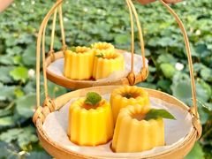 -七的湖·晚芳亭·阳澄湖农家菜·大闸蟹(莲花岛店)