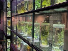-广东中医药博物馆