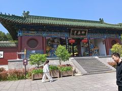 -中原大佛景区