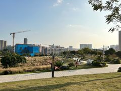 -红花山公园