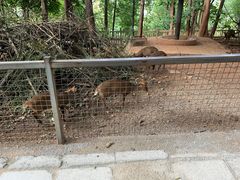 -昆明动物园