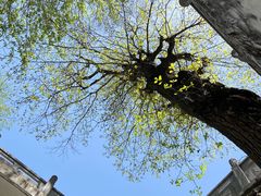 -终南山南五台景区