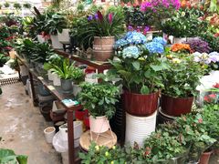 -秦美花卉(天朗·莱茵小城2期店)