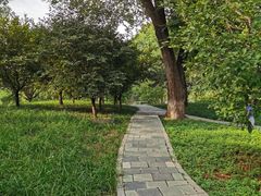 -丰台花园