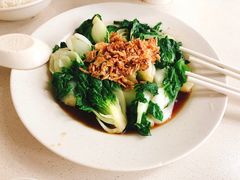 -正正文志记猪什汤