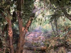 -四川大学博物馆