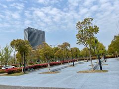 -春花秋色城市公园