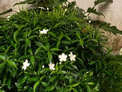 -和平行旅·全女旅宿(永庆坊店)