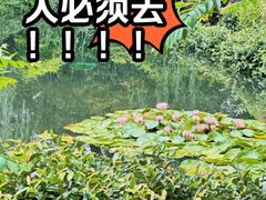-秋霞圃