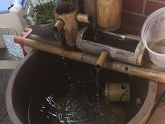 -鱼乐岛餐厅·户外花园主题餐厅