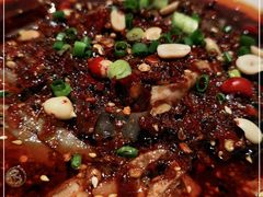 -铁公鸡·四川料理(天环广场店)