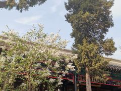 -保定直隶总督署博物馆