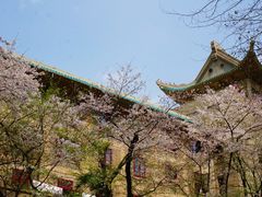 -武汉大学-樱园