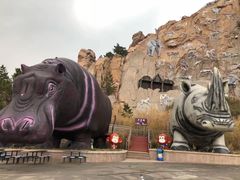 -西霞口神雕山野生动物世界