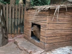-杭州长乔极地海洋公园