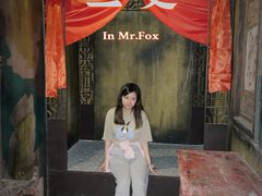 -Mr.Fox狐狸先生超级密室(南山店)