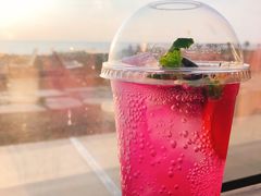 cuctus-Cafe Aewol Monsant