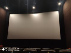 -SFC上影影城(港汇永华IMAX激光店)