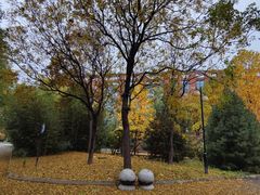 -中国政法大学(昌平校区)