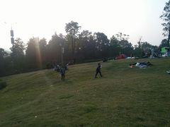 -铁山坪森林公园