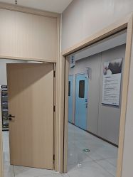 -碧莲盛不剃发植发