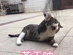 -群姐面馆·海鲜烧烤(同安路二店)