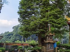-峨眉山报国寺