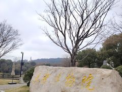 -良渚博物院