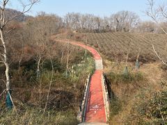 -南京市江宁方山