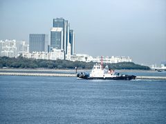 -上海滨江森林公园