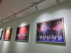 -中央芭蕾舞团·中芭艺蕾(酒仙桥明星校区)