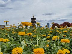 -长春北湖公园
