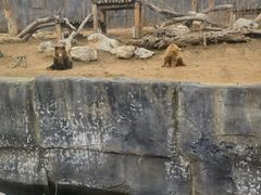 -武汉动物园