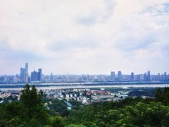 -茶颜悦色(岳麓山顶店)