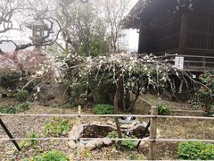 -上野公园花园稻荷神社(忍岡稲荷神社)